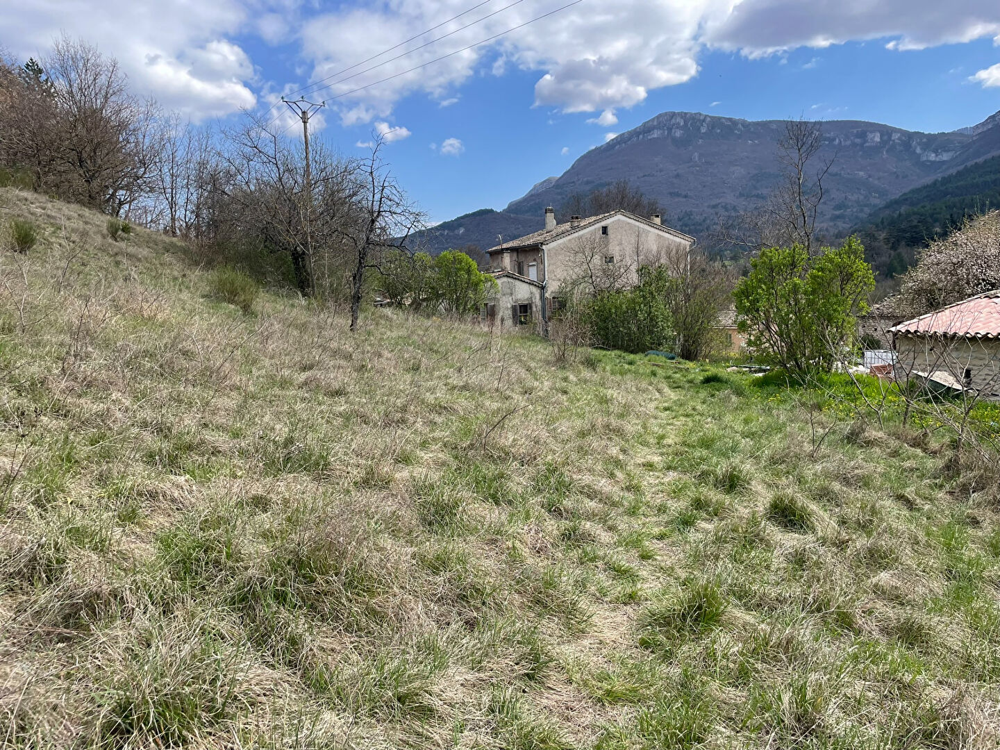 Photo Terrain  à bâtir à vendre à Noyers Sur Jabron 5420 m2 dont 2700 m² constructibles image 6/6