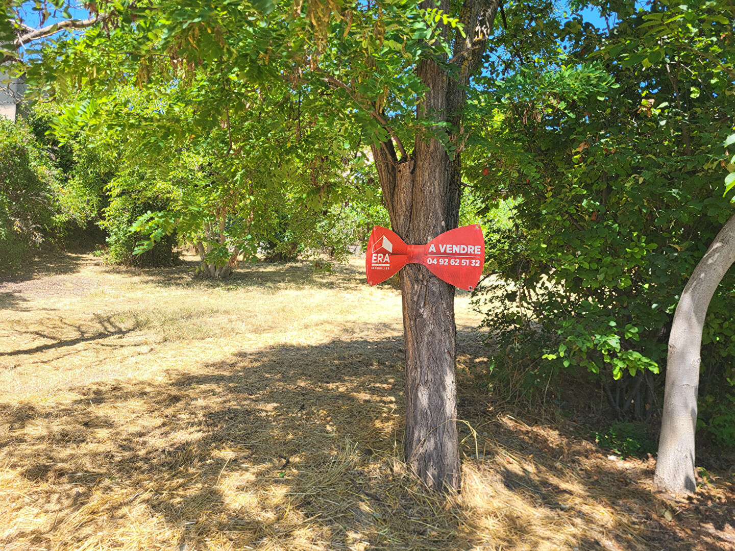 Terrain constructible Digne Les Bains 650m2