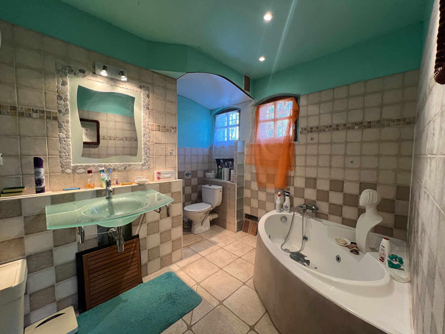 Photo Maison Salignac 7 pièce(s) 190 m2 image 5/6