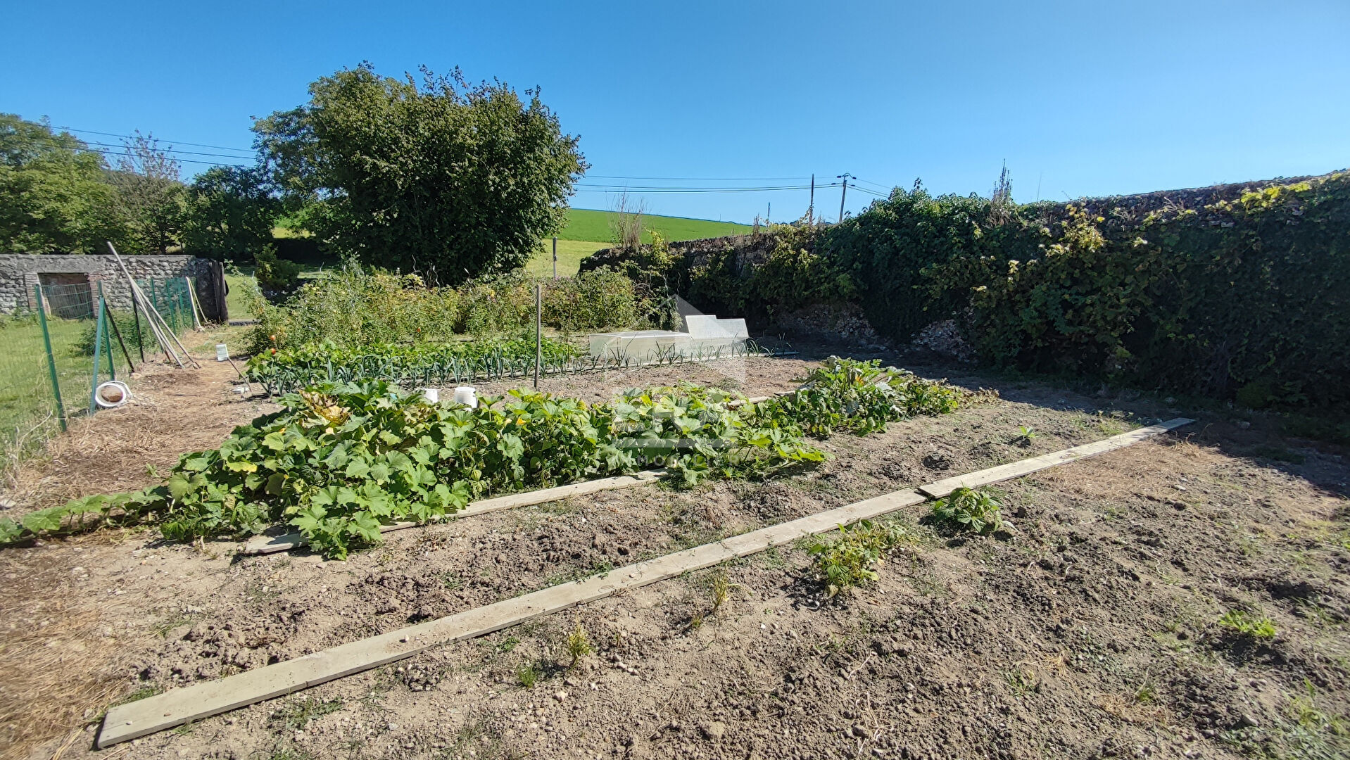 Photo Maison à rénover dans le Perche image 6/6