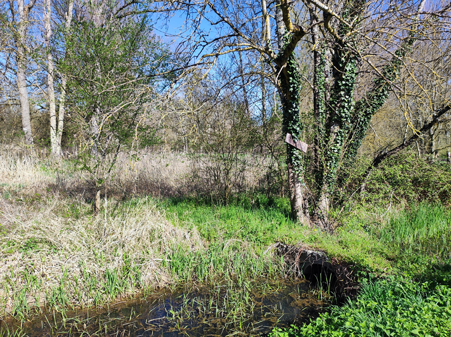 Photo Terrain à Monts image 2/3