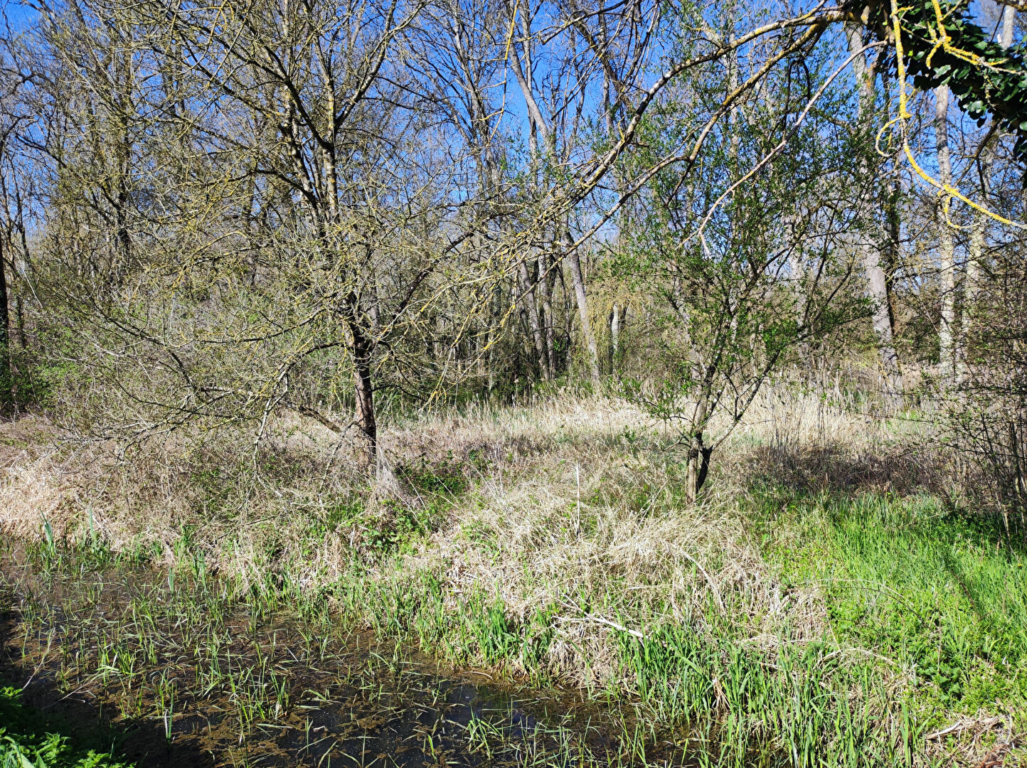 Photo Terrain à Monts image 3/3
