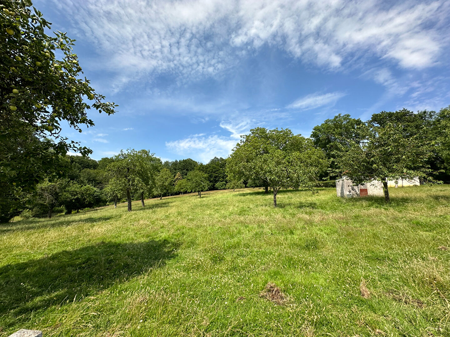 Photo Longère Manou 5 pièce(s) 140 m2 image 2/6