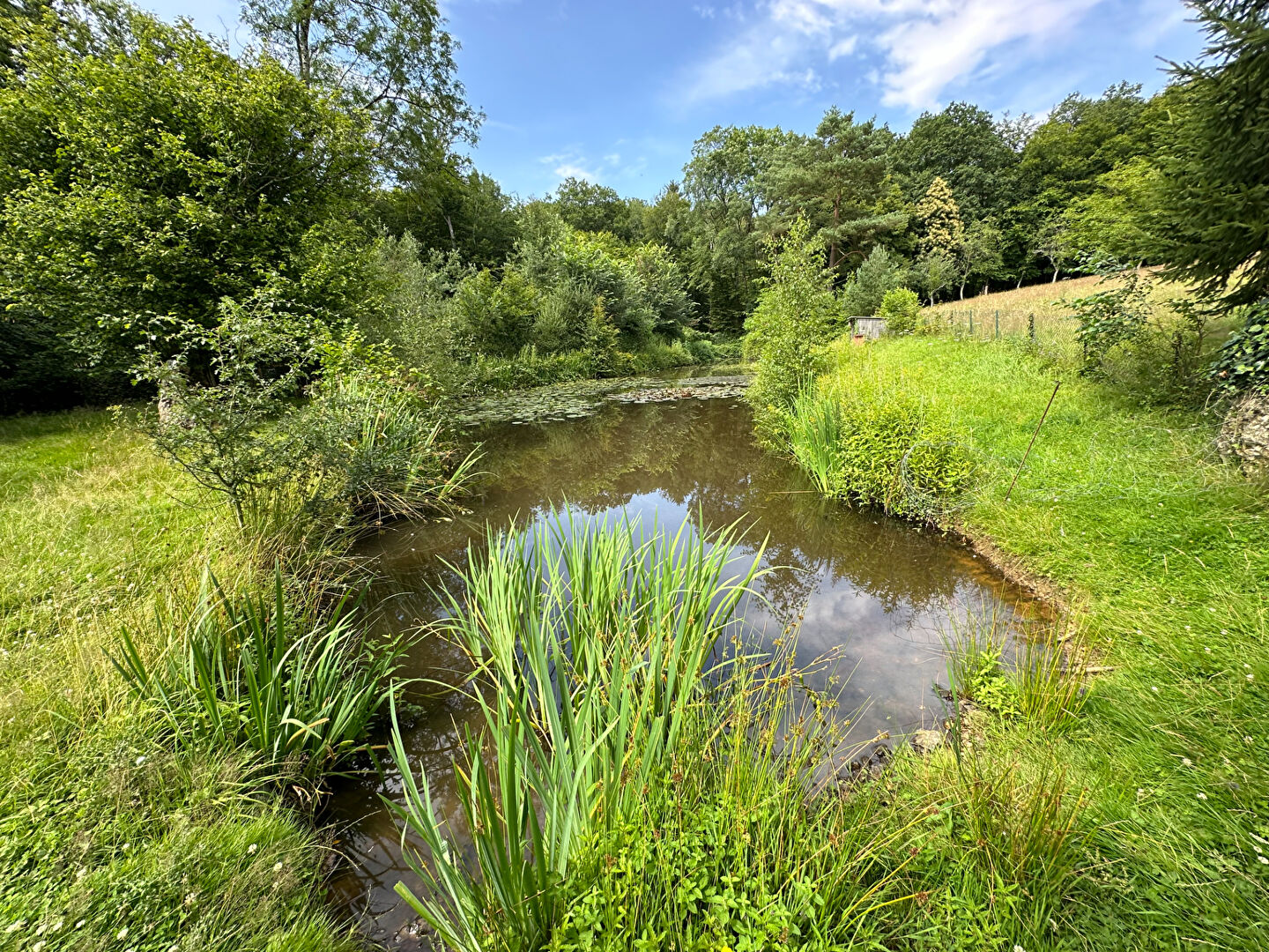 Photo Longère Manou 5 pièce(s) 140 m2 image 3/6