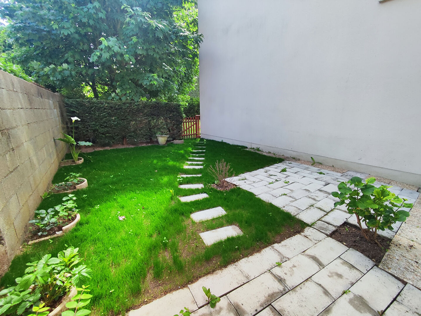 Appartement Tours 3 pièce(s) 81 m2