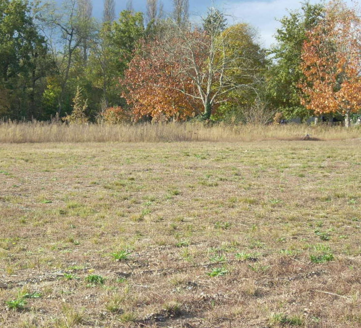 Agence immobilière de ERA CHRISTUS St Paul Les Dax