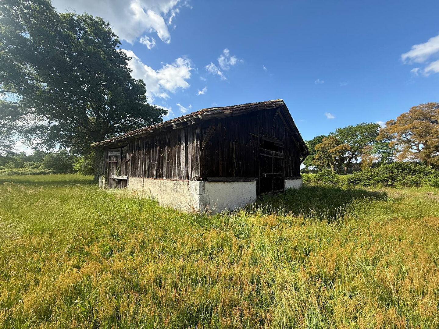 Agence immobilière de ERA CHRISTUS St Paul Les Dax