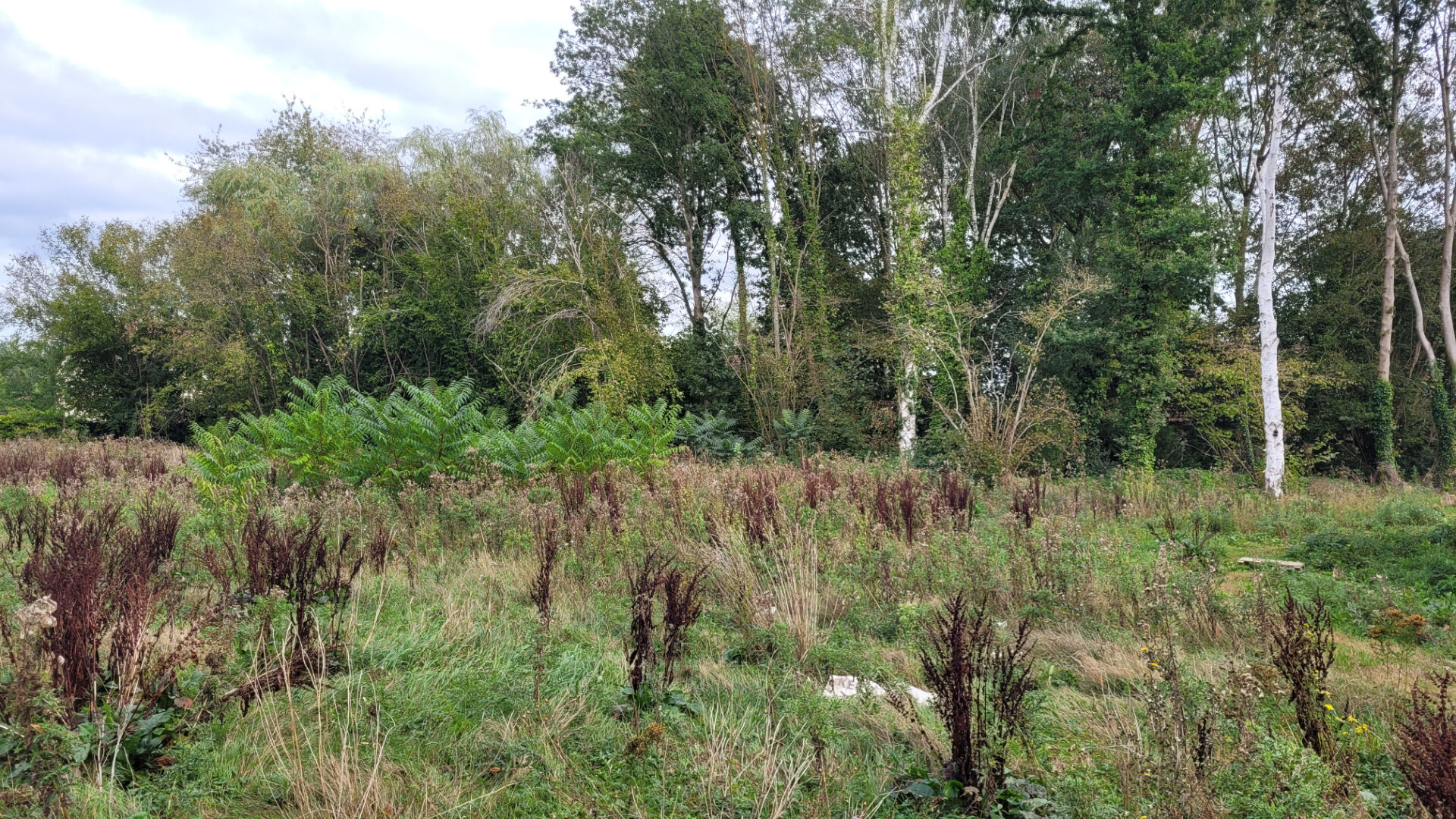 Terrain à Bâtir 1226 m²