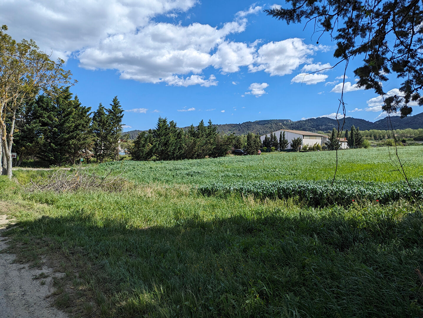 Chalet T2 Bis en Zone Agricole à Charleval ! Idéal pour un Cadre de Vie Calme et Naturel