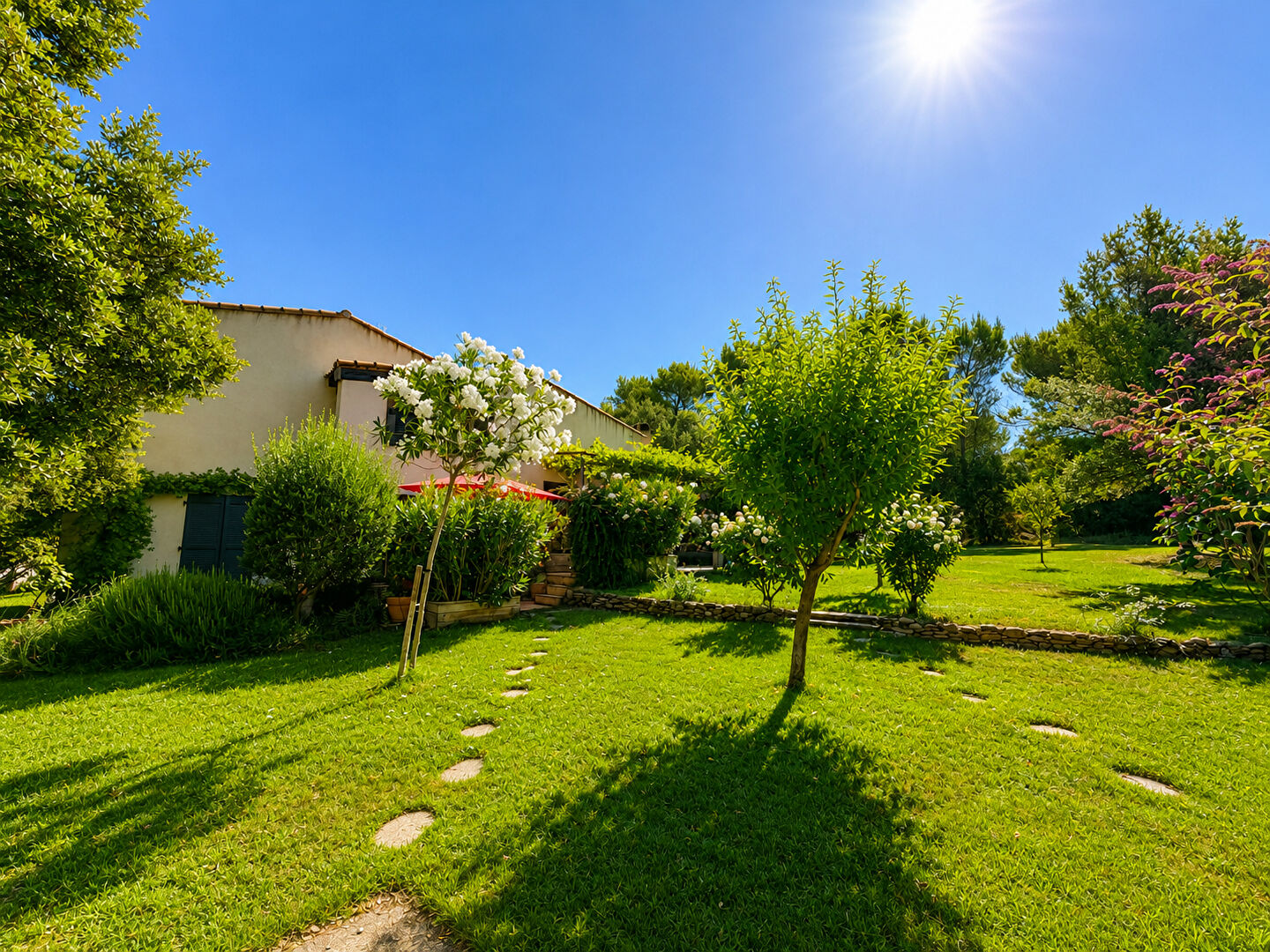 Agence immobilière de Action Immobilier - Action Immobilier