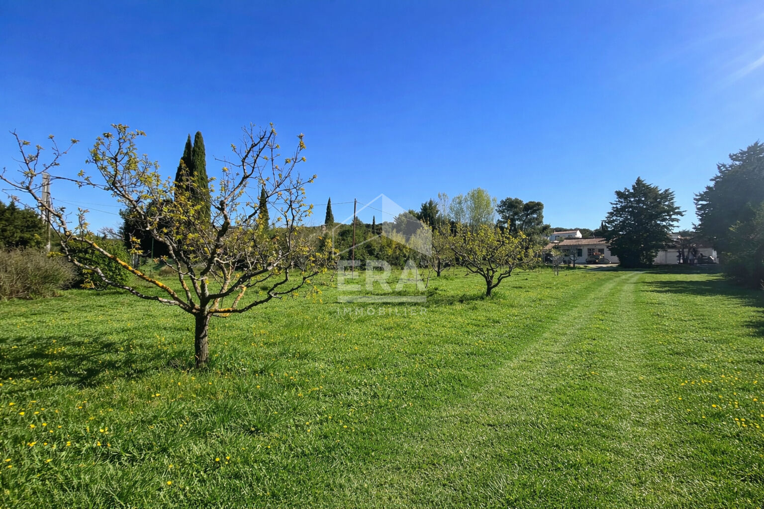 Agence immobilière de Action Immobilier - Action Immobilier