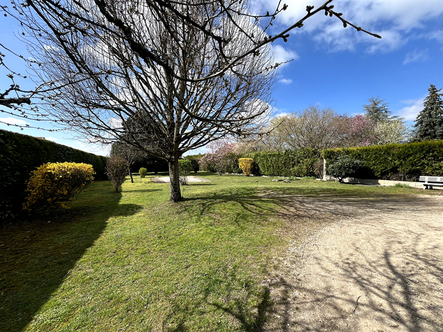 Photo Terrain Neuilly Crimolois 741 m2 image 3/3