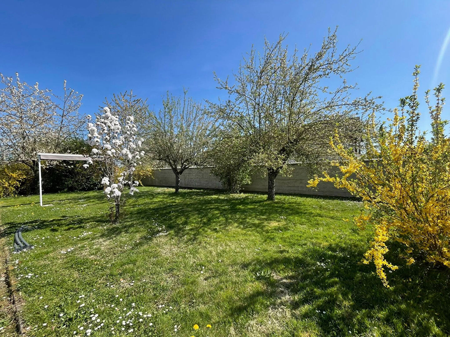 Photo Maison REMILLY SUR TILLE 9 Pièces 196.1 m² image 2/6