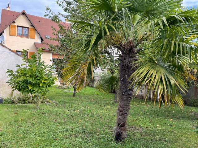 Photo Maison Viroflay 9 pièce(s) 197 m2 image 2/6