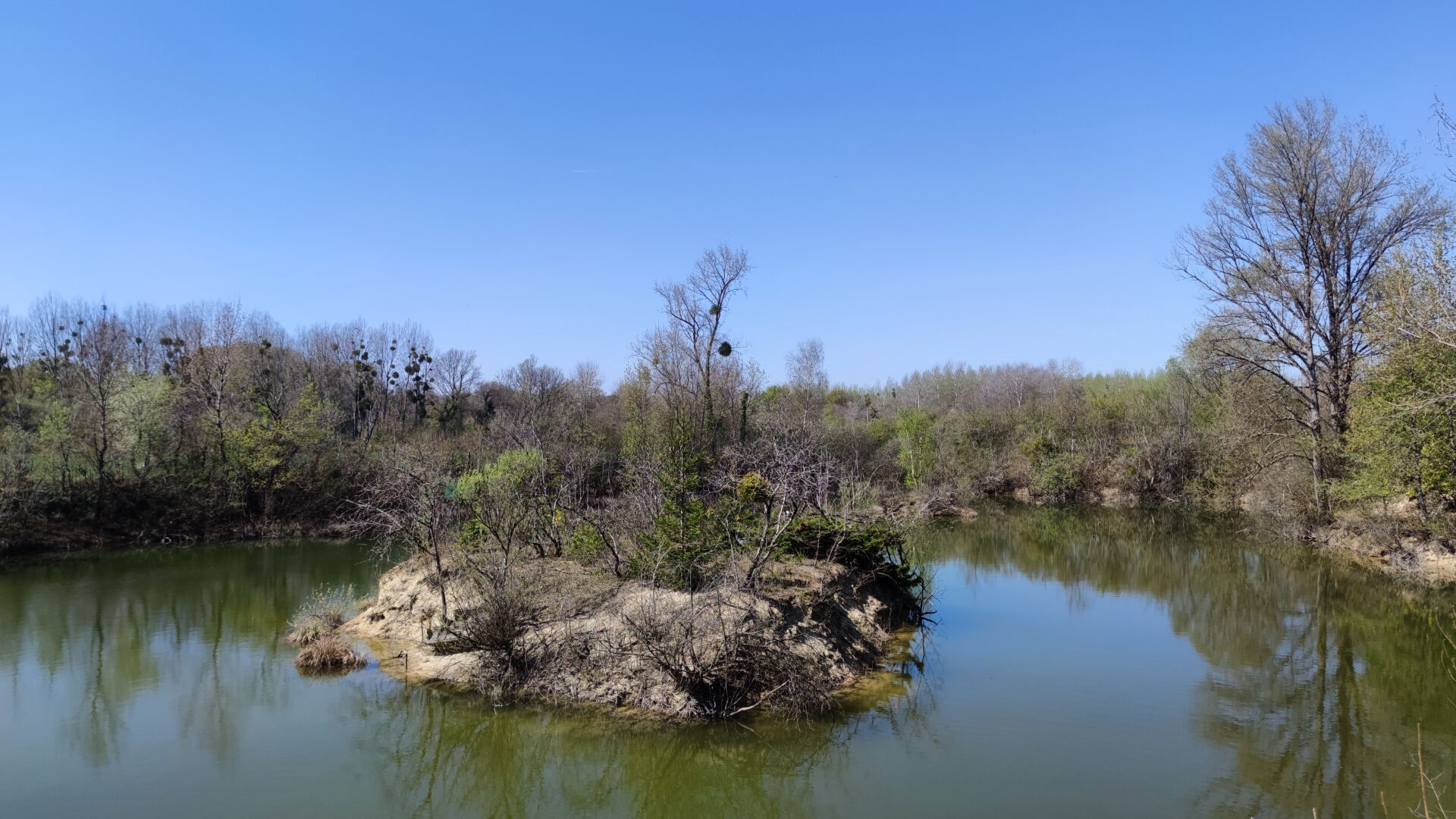 Photo Terrain forestier avec Etang image 2/6