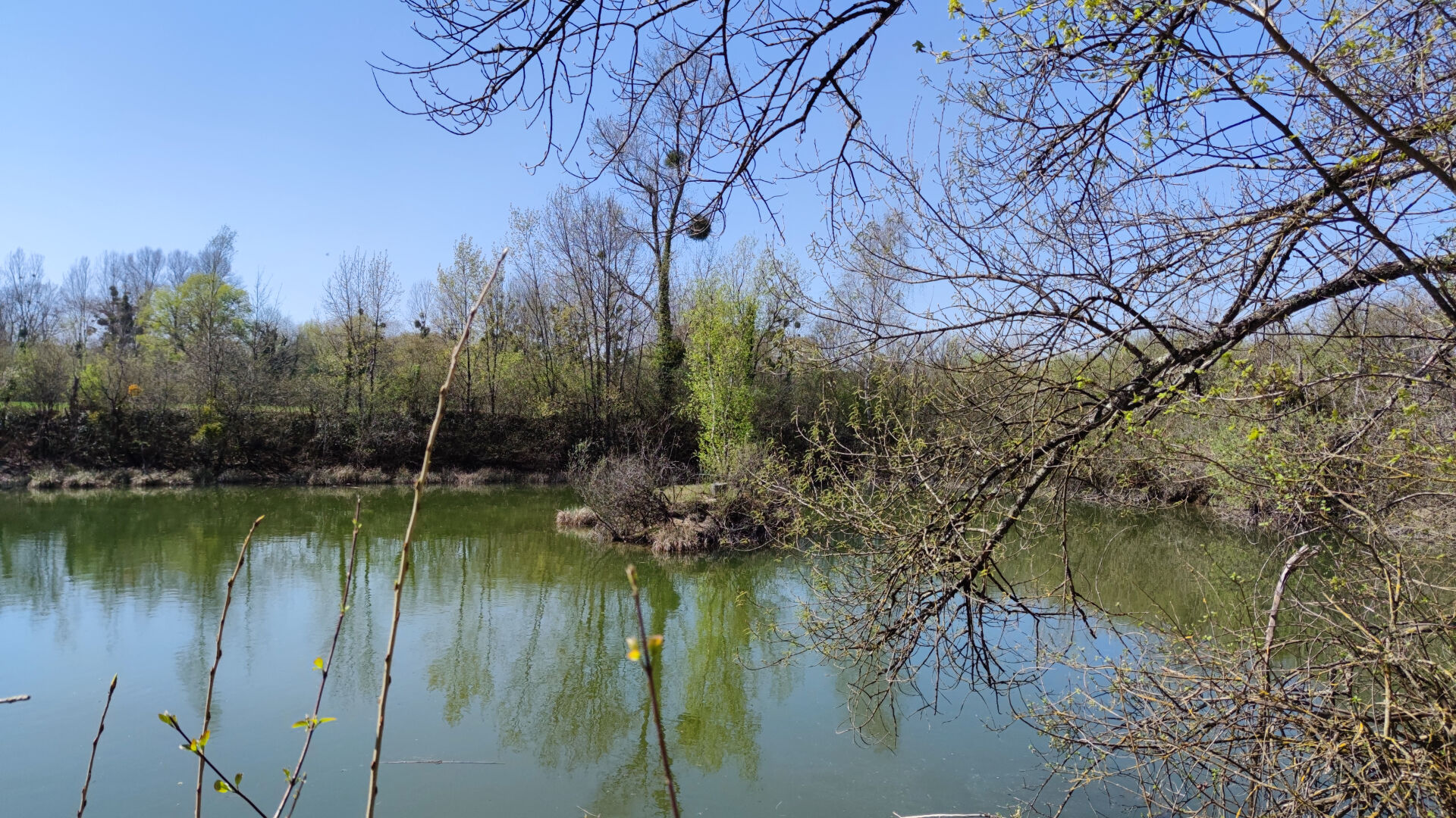 Photo Terrain forestier avec Etang image 4/6