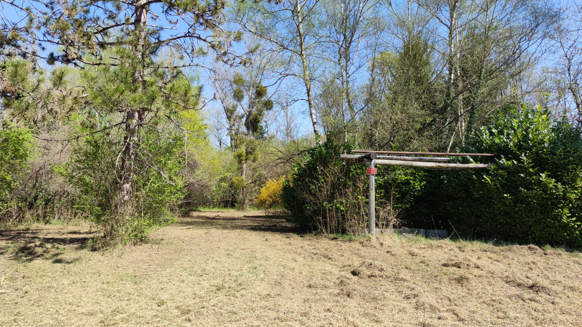 Photo Terrain forestier avec Etang image 6/6