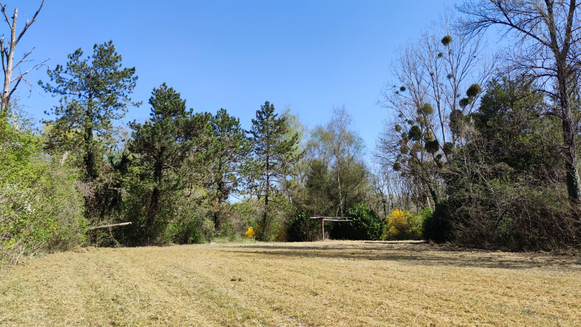 Photo Terrain forestier avec étang image 5/6