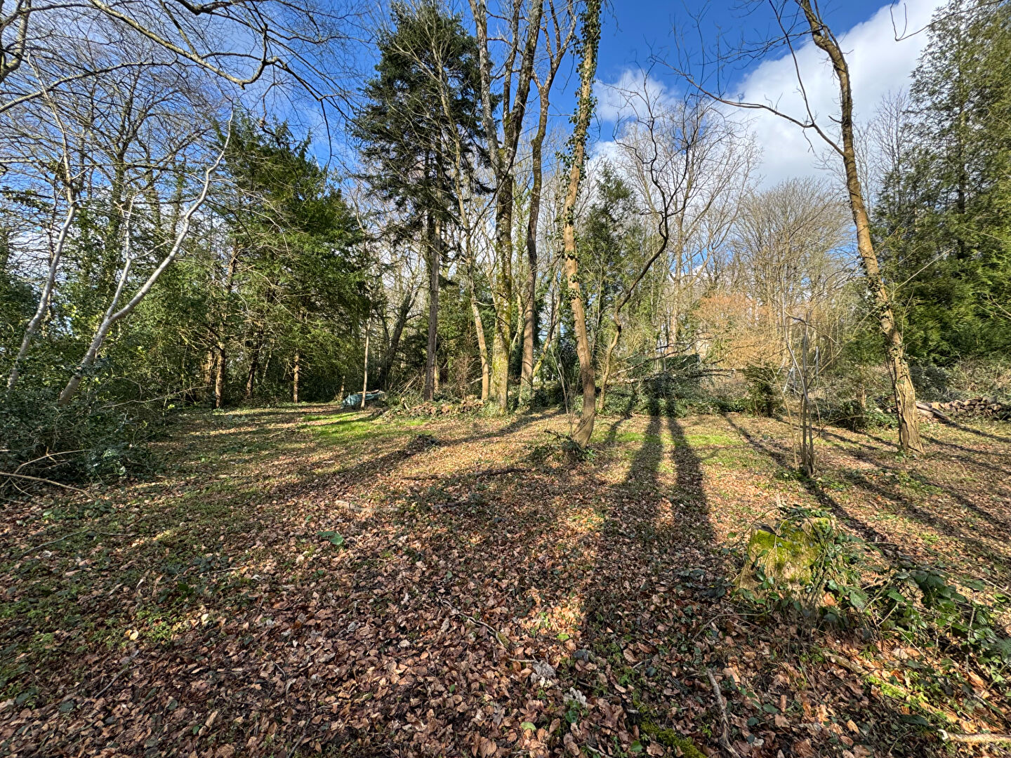 Photo Terrain Condette 1307 m2 image 1/2