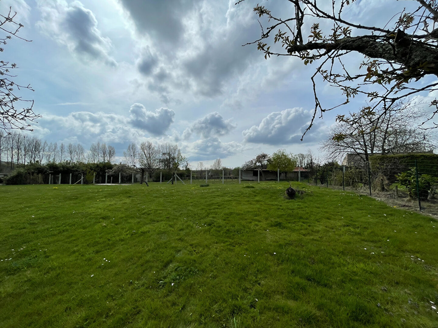 Photo Terrain Condette 877 m2 image 4/4