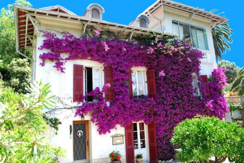 Photo BAS ST PIERRE DE FERIC image 6/6