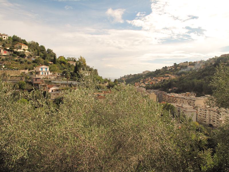 Photo NICE DEBUT COSTIERE image 3/6