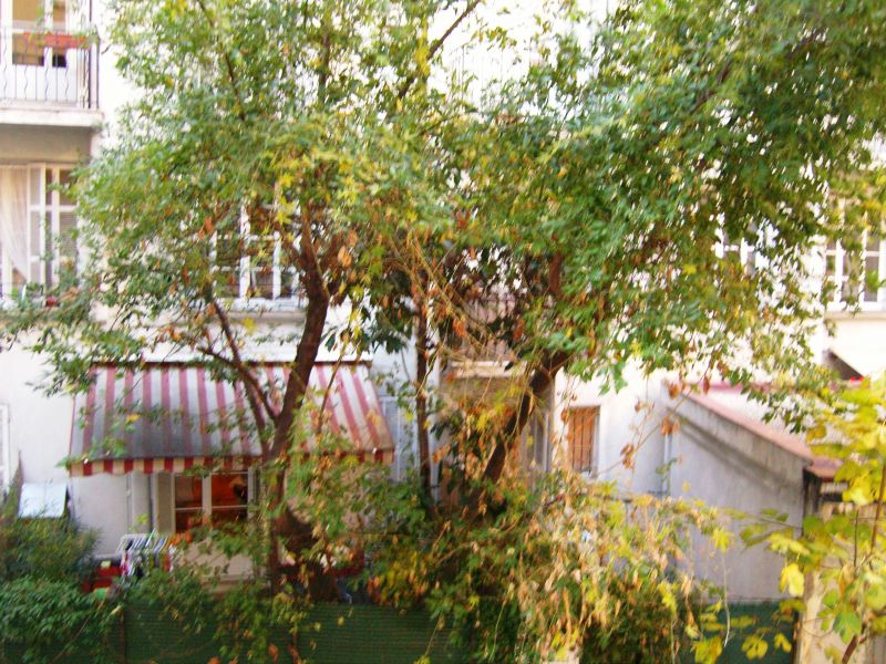 Photo MUSICIENS - 3 PIECES image 5/6