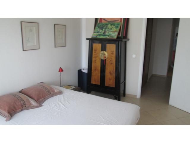 Photo LIBERATION - 2 PIECES* image 2/6