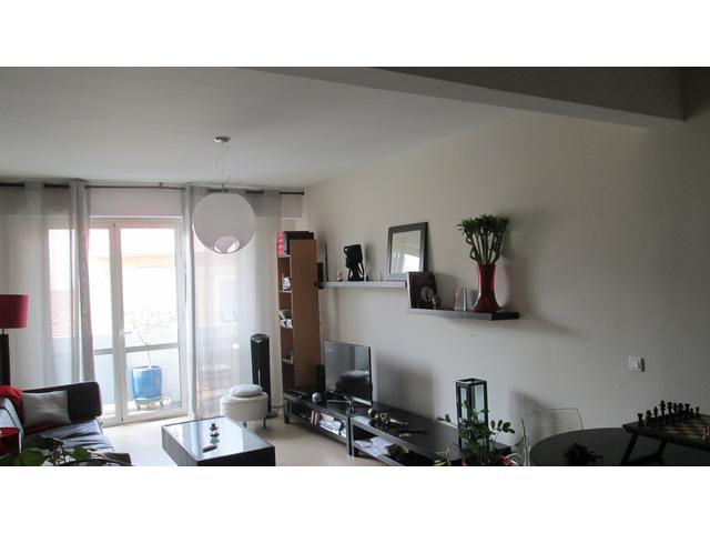 Photo LIBERATION - 2 PIECES* image 5/6