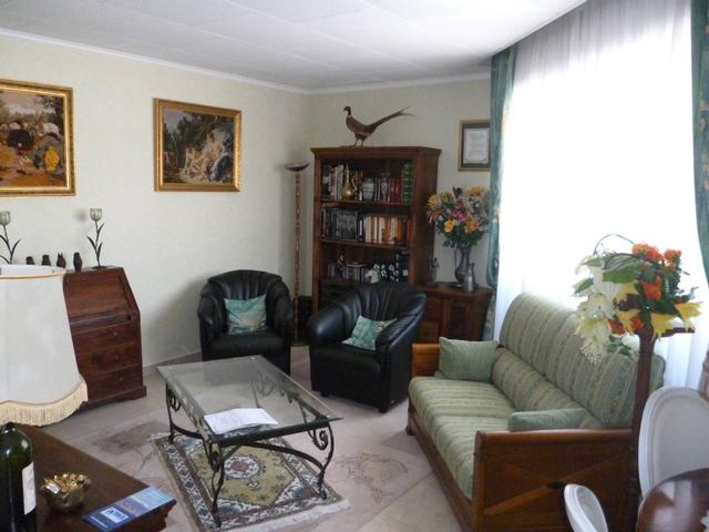 Photo PARC IMPERIAL - 2 PIECES* image 3/6