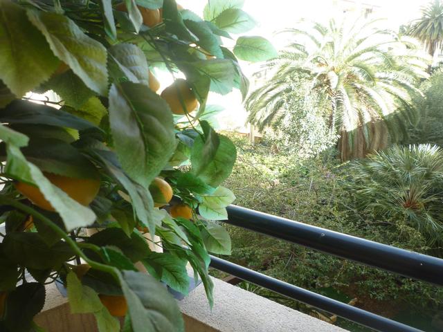 Photo GAMBETTA - 2 PIECES* image 2/6