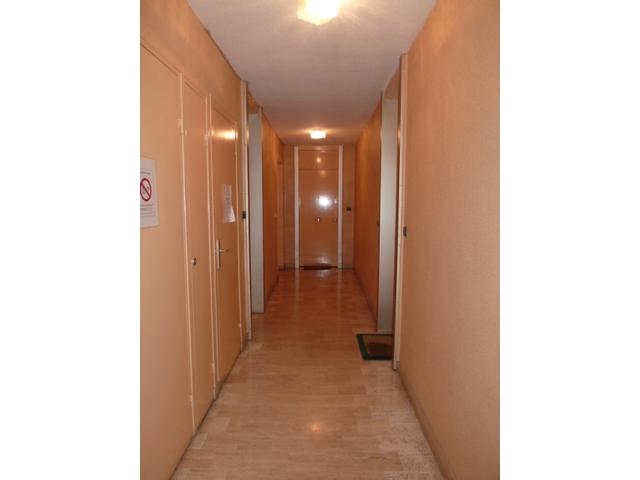 Photo GARIBALDI - 2 PIECES* image 2/6