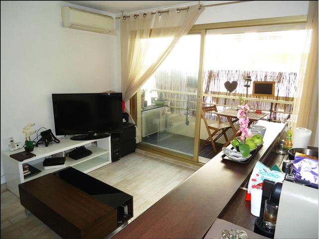 Photo GARIBALDI - 2 PIECES* image 4/6