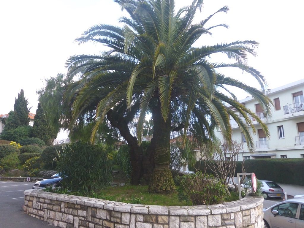 Photo NICE NORD 3 PIECES image 2/6