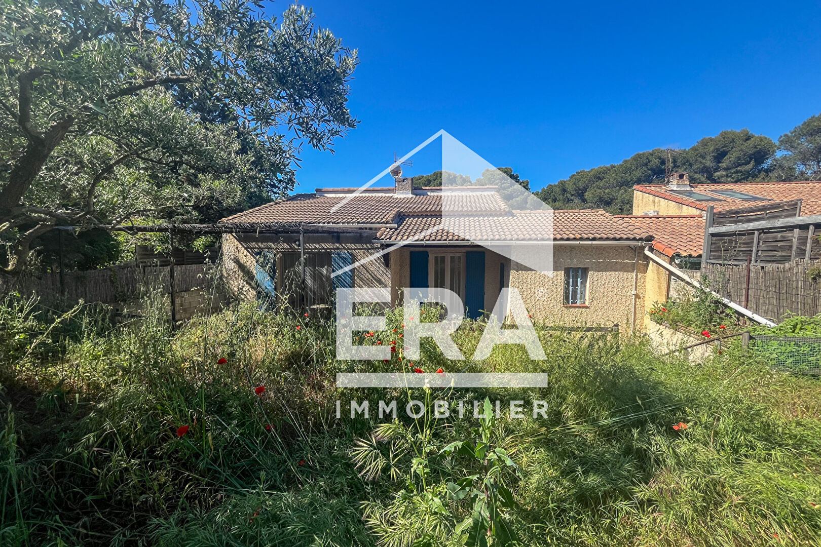 Photo Maison de plain-pied à rénover à Eyragues image 2/6