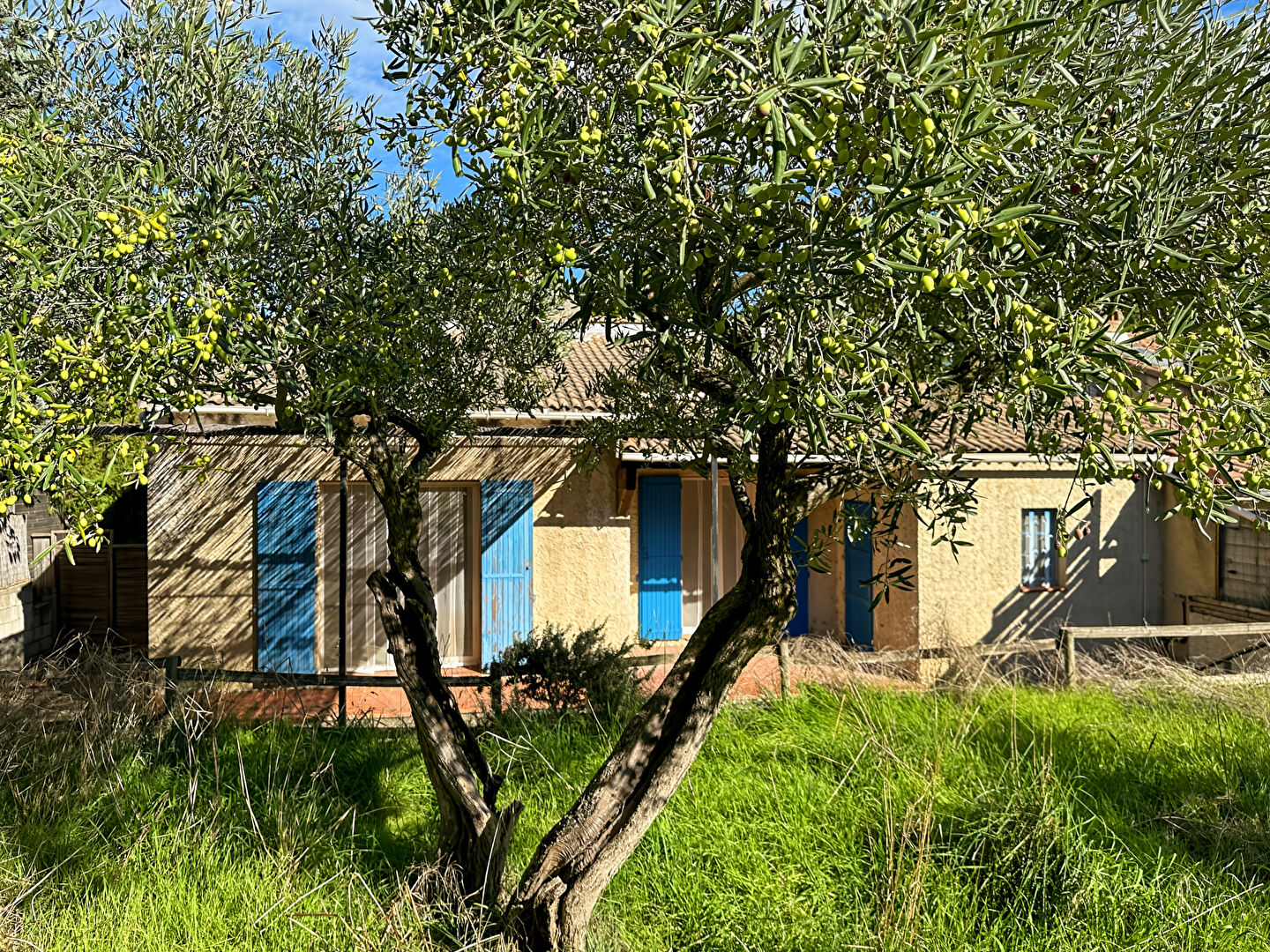 Photo Maison de plain-pied à rénover à Eyragues image 5/6