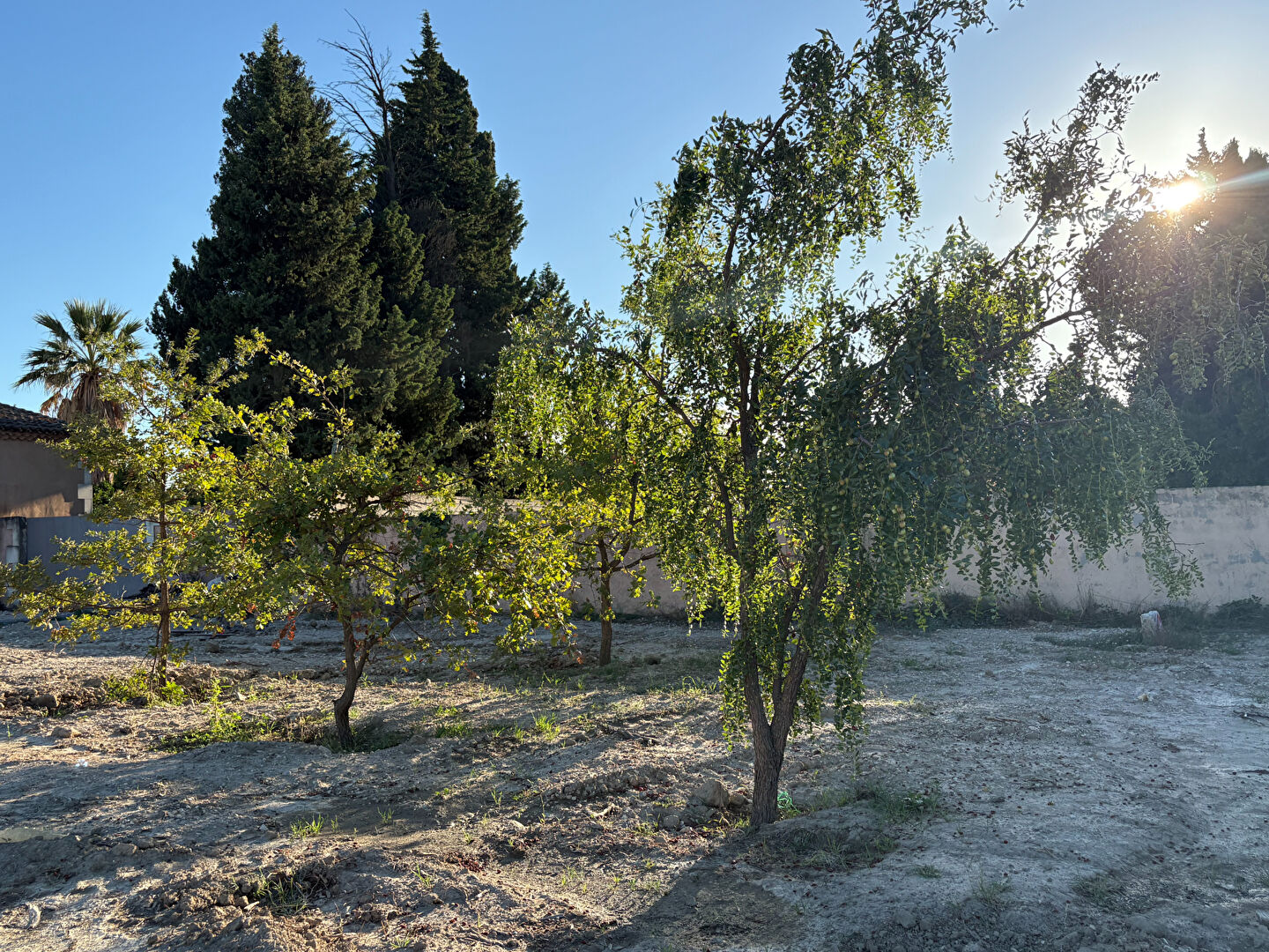 Photo Terrains constructibles à vendre image 3/3