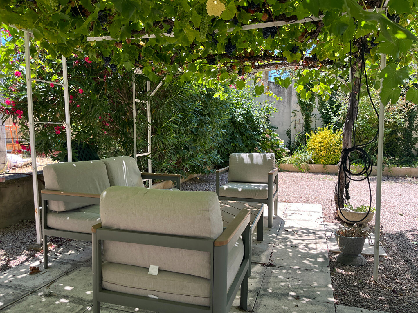 Photo Maison 2 habitations NOVES image 4/6