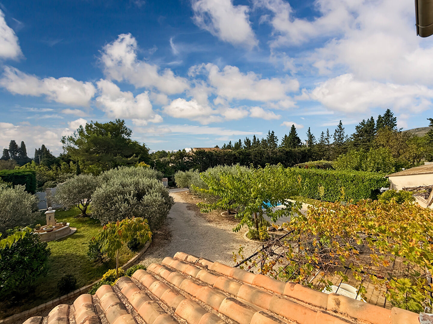 Photo Mas avec appartement, hangar sur Graveson image 5/6