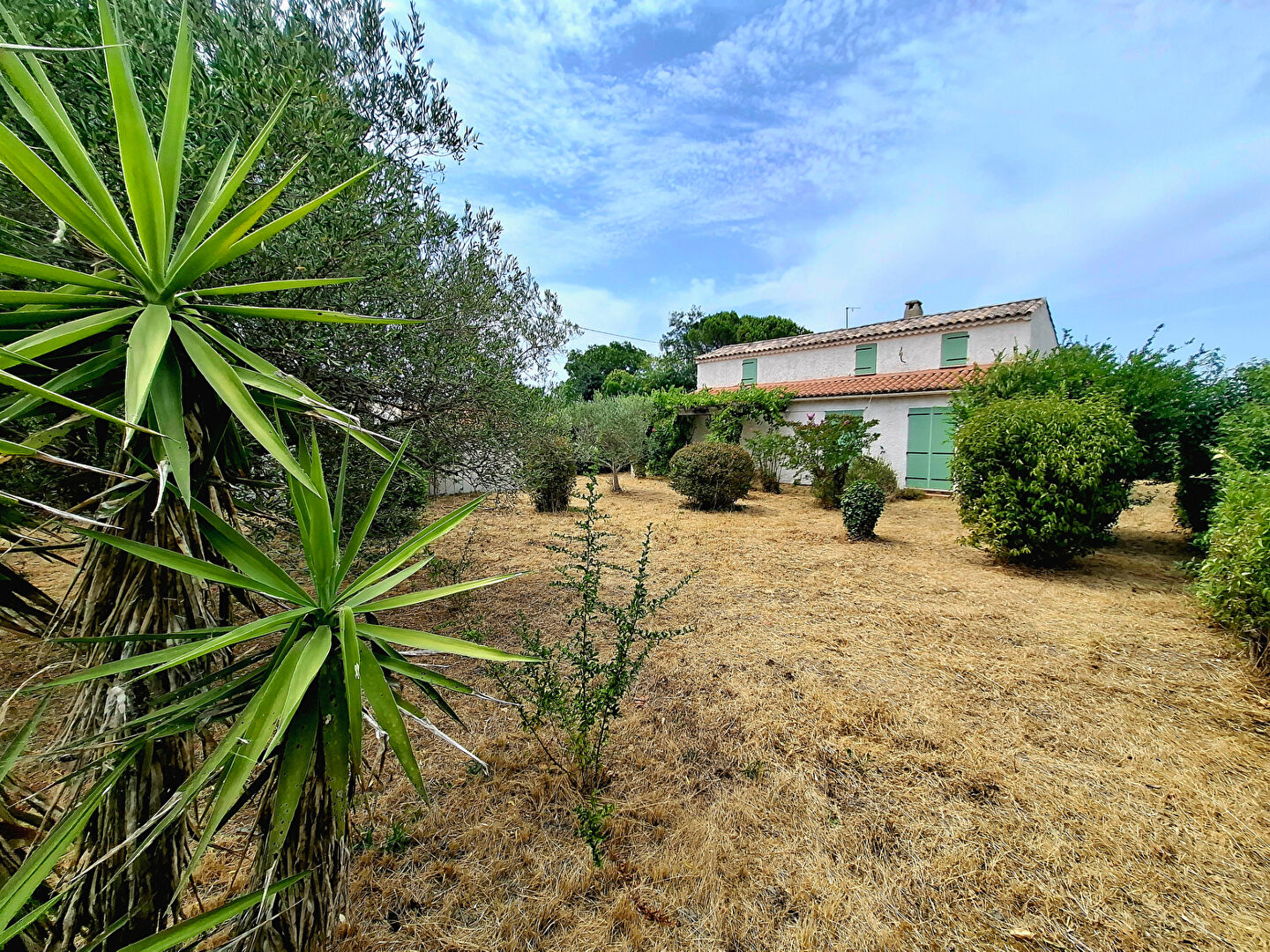 Agence immobilière de ERA Chateaurenard - REAL IMMOBILIER