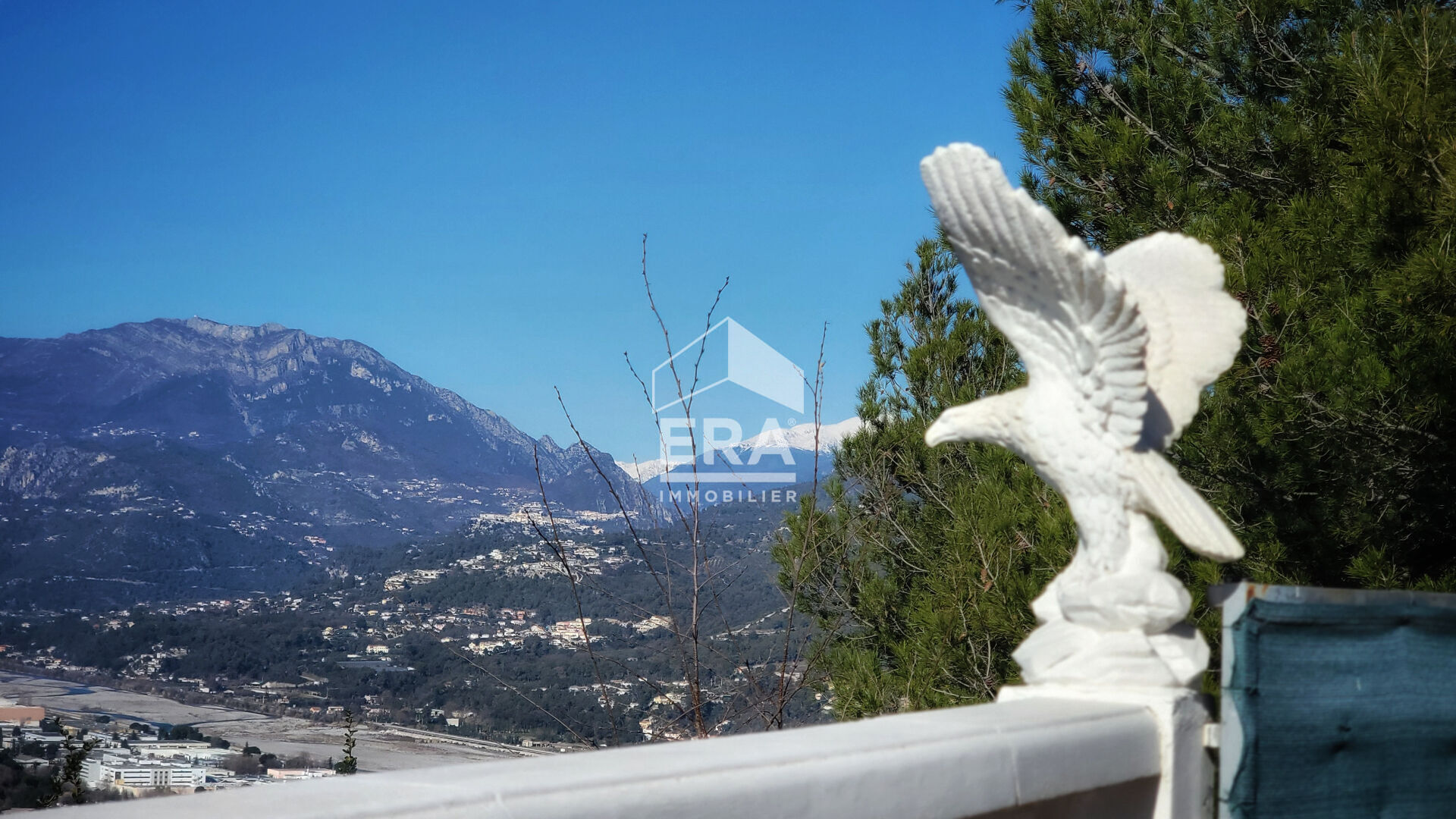 Photo COLOMARS Belle villa 7 pièces 257m2  une belle piscine/ Jardin/ terrain /stationnements image 3/6