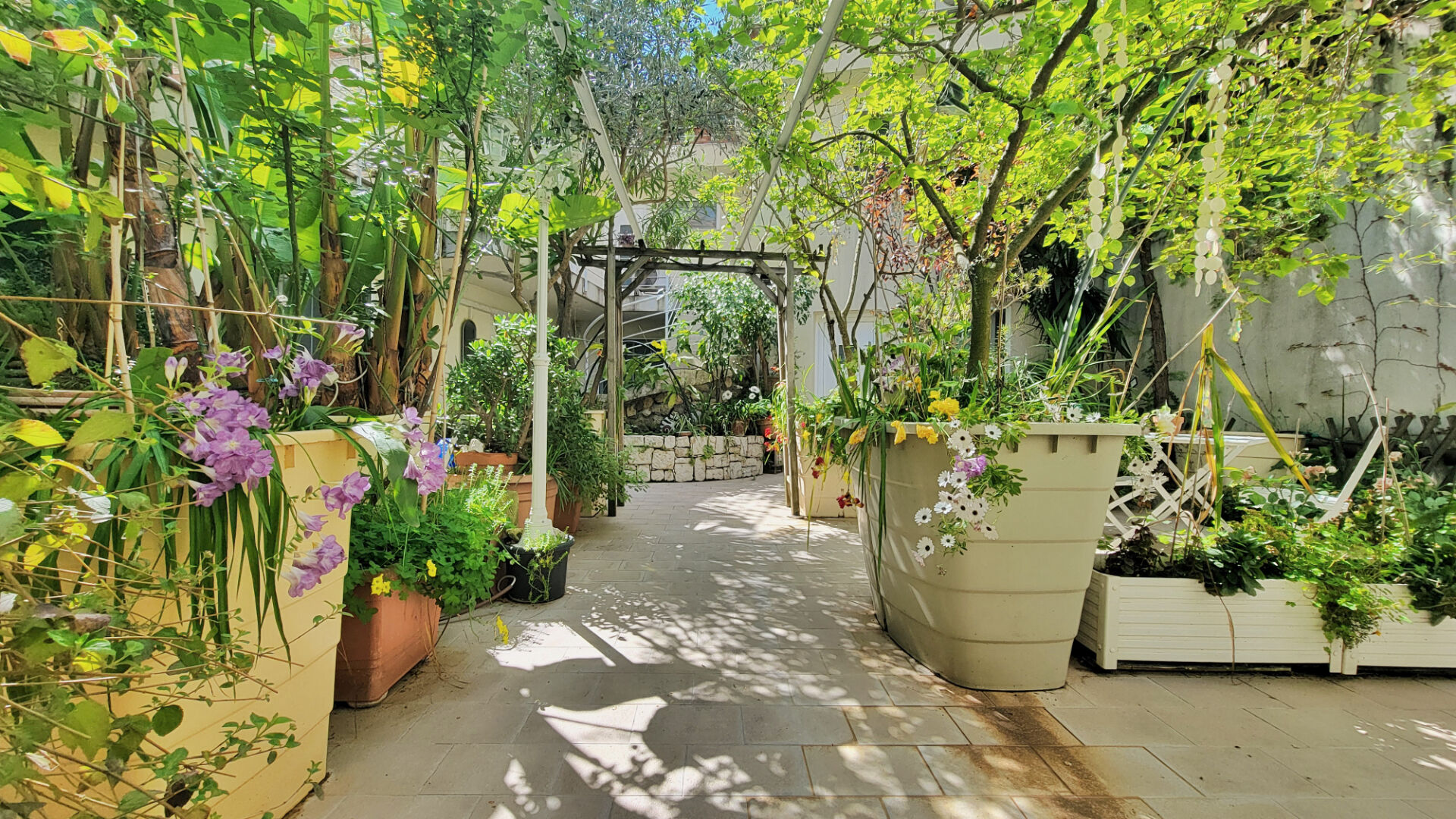 Photo Immeuble Exceptionnel à Nice - 11 Appartements image 5/6