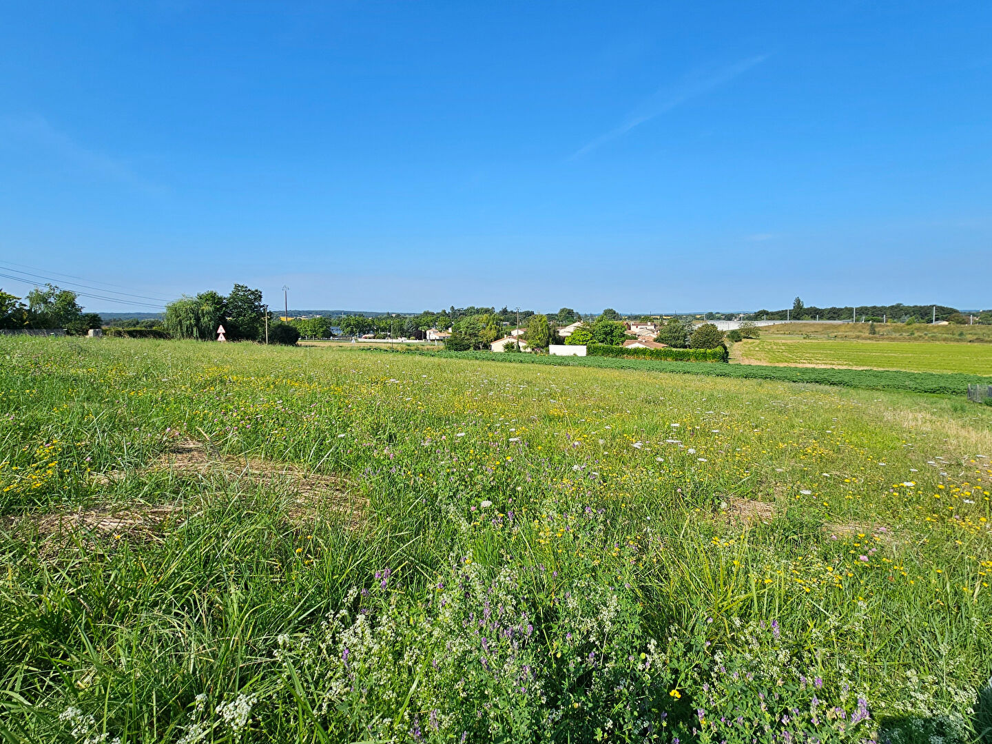 Photo Terrain à vendre La Couronne 1267 m2 16400 image 1/4