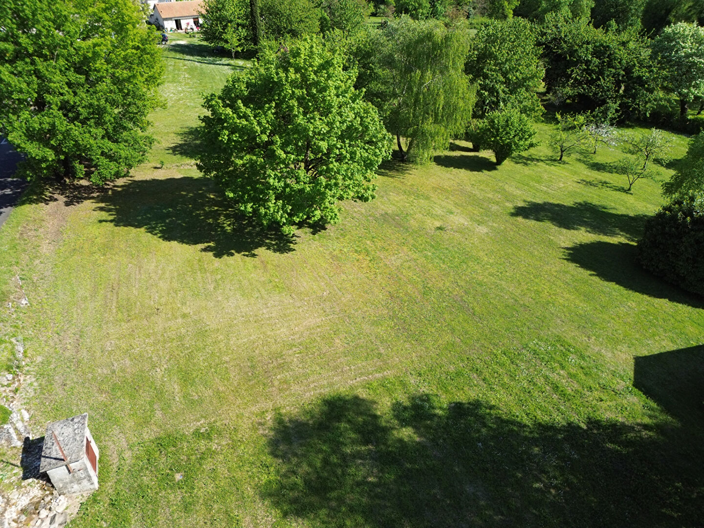 Photo Terrain constructible 900m² image 2/3