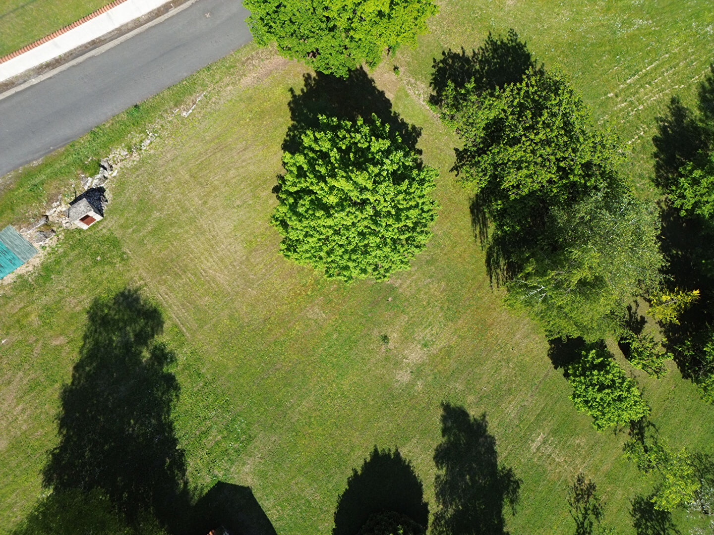 Photo Terrain constructible 900m² image 3/3