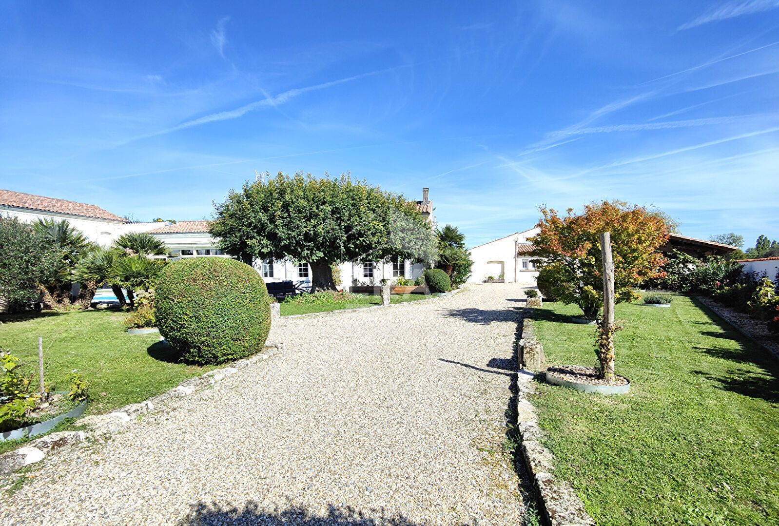 Photo A vendre maison Migron 7 pièce(s) 226 m2 image 3/6