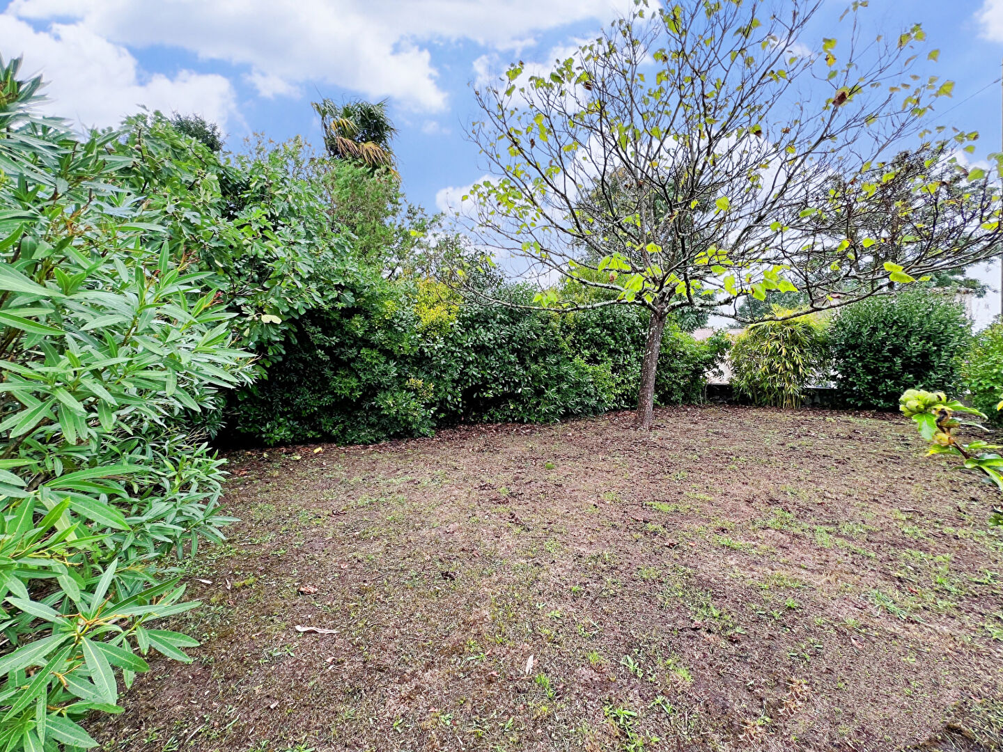 Photo Maison Sireuil 4 pièce(s) 95 m2 image 3/6