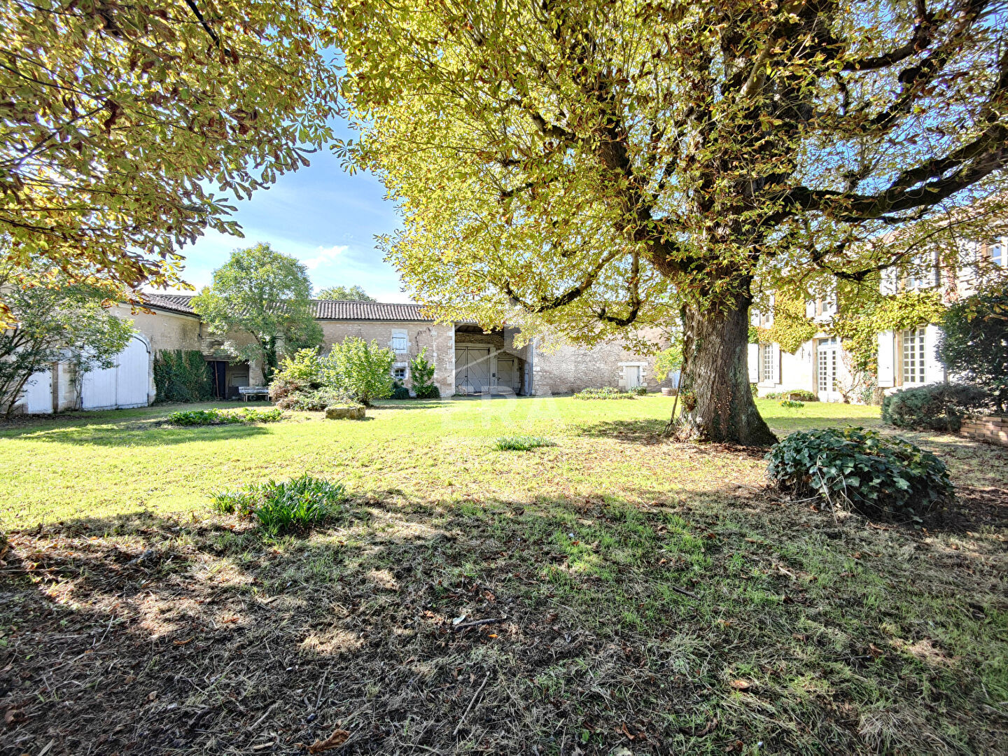 Photo A vendre maison Nercillac 7 pièce(s) 250 m2 image 3/6