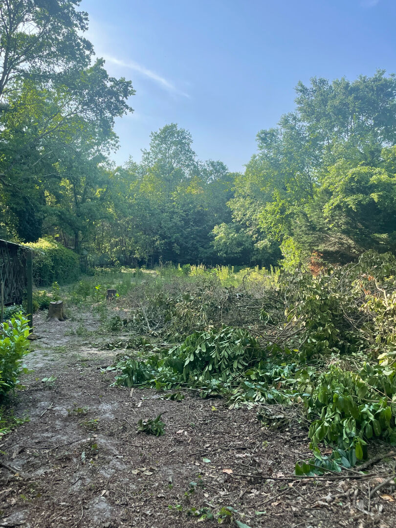 Photo Terrain St Selve 910 m2 image 2/2