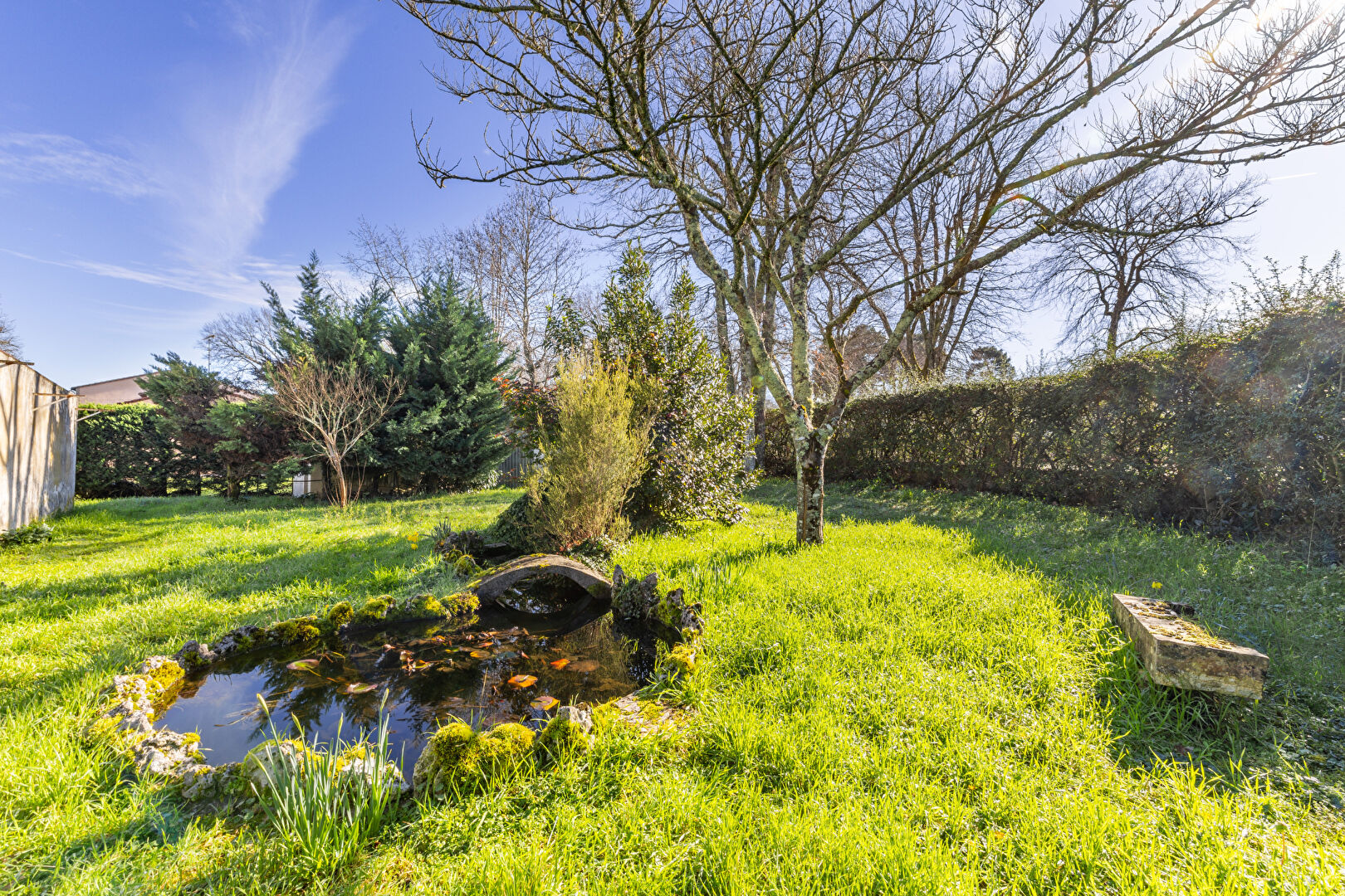 Photo CANEJAN 20 min de Bordeaux image 3/6